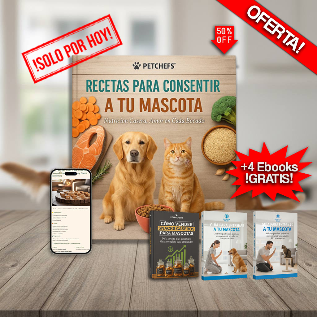 🐶Recetas Para Consentir a tu Mascota + 4 REGALOS¡
