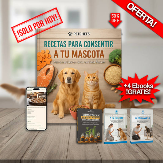 🐶Recetas Para Consentir a tu Mascota + 4 REGALOS¡